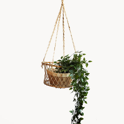 Jhuri Single Hanging Basket