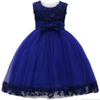 Navy / 2-3T