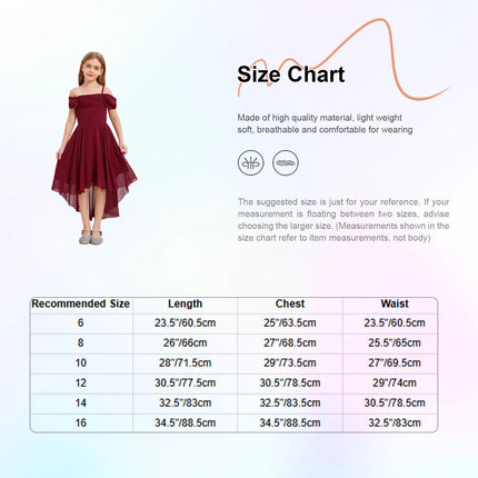 Children Girls Elegant Party Dress Off-shoulder Ruffled Chiffon Hi-low Applique Princess Gown for Birthday Wedding Evening Prom