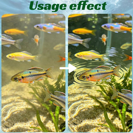 AquaClear Purification Tablets