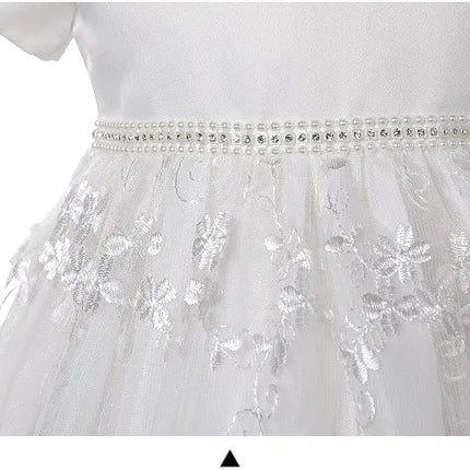 Birthday Baby Girl Gowns Embroidery Long Dresses Elegant Christening Dresses for Girls with Hat 0-24M