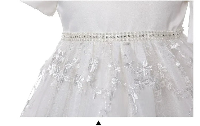 Birthday Baby Girl Gowns Embroidery Long Dresses Elegant Christening Dresses for Girls with Hat 0-24M