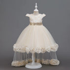 D6733-Champagne / 120