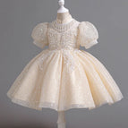 Champagne / 4T(for height 110cm)