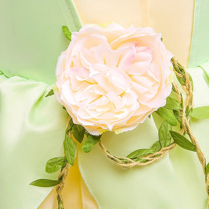 Summer Delicate Yellow Green Frock Flower Girls Wedding Party Dress Birthday Tiana Cosplay Princess and Frog Fairy Tale Costume