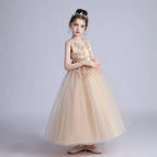 Champagne / 160(9-10T)