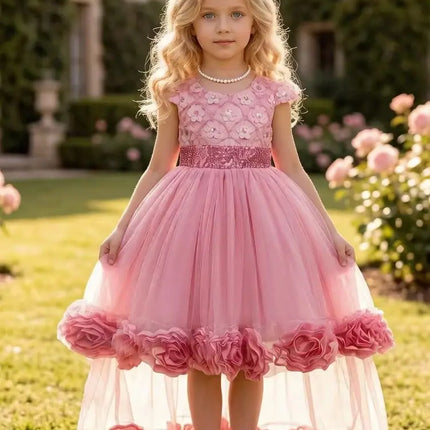 Flower Girl Dress 3D Rose Lace Tulle Sequin Waistband Princess Gown Birthday Holiday Wedding Party Formal Girls Dresses 3-12Y