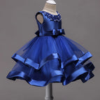 FD364-Blue / 5