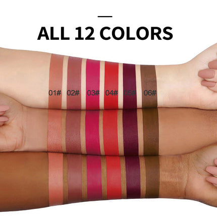 HANDAIYAN Popular Matte Matte Velvet 12 Colors Lip Gloss Liquid Lipstick Lip Glaze