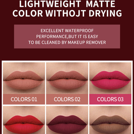 HANDAIYAN Popular Matte Matte Velvet 12 Colors Lip Gloss Liquid Lipstick Lip Glaze