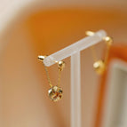 A Pair of Ear Studs