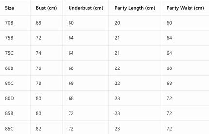 Single of Women's Underwear Set Sexy Lace Patchwork with Push Up Bra Romantic Sheer Women's Panties