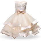 FD364-Champagne / 9-10
