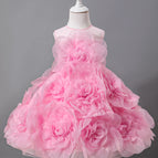 Pink / 6T